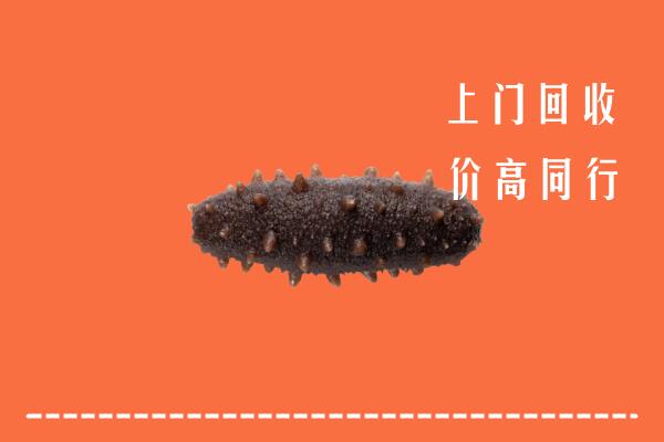 安福县回收海参