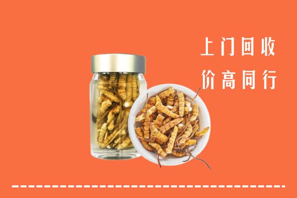 安福县回收冬虫夏草