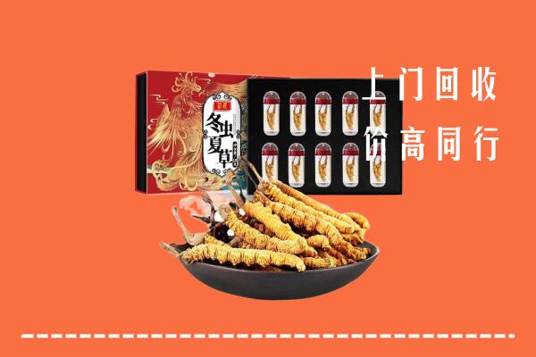 安福县回收虫草